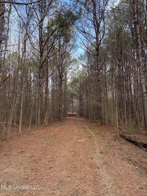 1356 Harrell Road Rd, Maben, MS 39750 photo 31