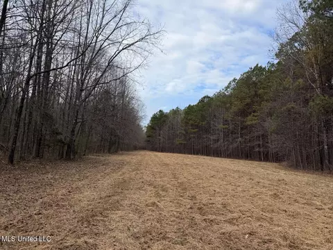 1356 Harrell Road Rd, Maben, MS 39750 photo 30