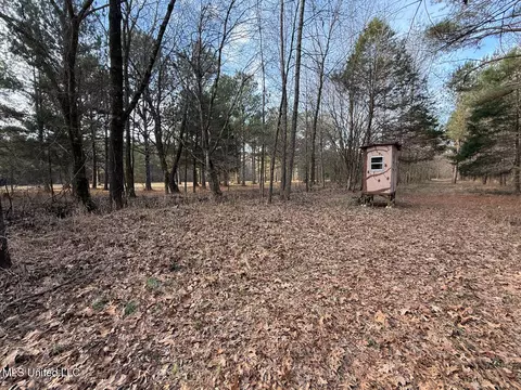 1356 Harrell Road Rd, Maben, MS 39750 photo 17