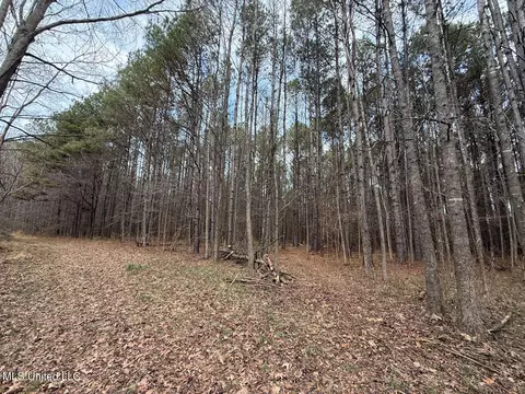 1356 Harrell Road Rd, Maben, MS 39750 photo 29