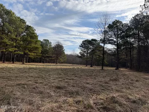 1356 Harrell Road Rd, Maben, MS 39750 photo 24