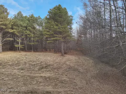 1356 Harrell Road Rd, Maben, MS 39750 photo 5