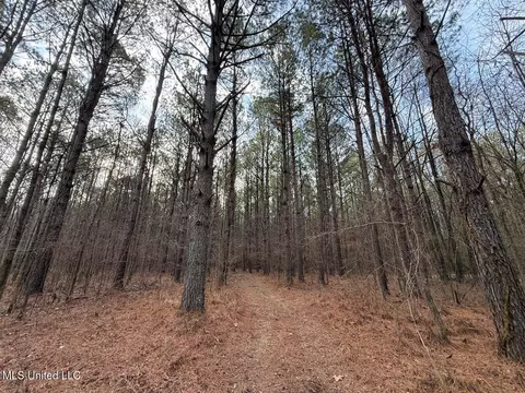 1356 Harrell Road Rd, Maben, MS 39750 photo 21