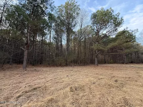 1356 Harrell Road Rd, Maben, MS 39750 photo 20