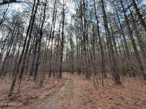 1356 Harrell Road Rd, Maben, MS 39750 photo 23