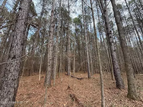 1356 Harrell Road Rd, Maben, MS 39750 photo 28