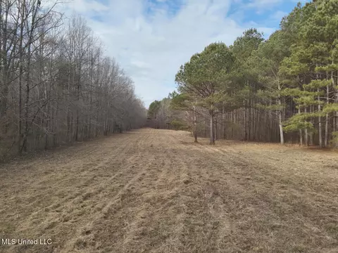 1356 Harrell Road Rd, Maben, MS 39750 photo 2