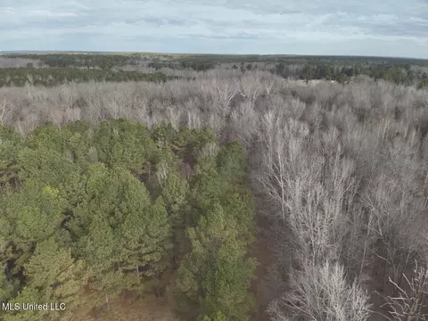 1356 Harrell Road Rd, Maben, MS 39750 photo 9