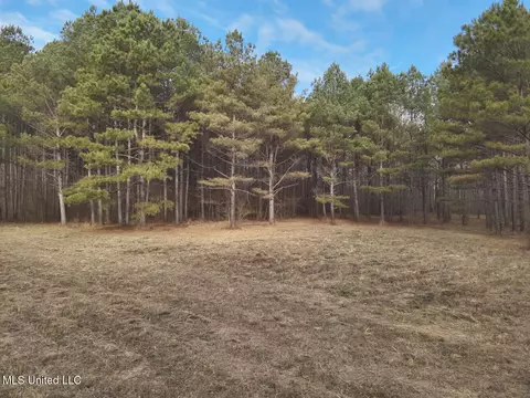 1356 Harrell Road Rd, Maben, MS 39750 photo 3