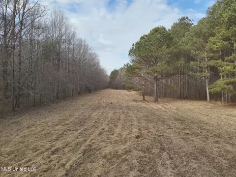 1356 Harrell Road Rd, Maben, MS 39750 photo 7