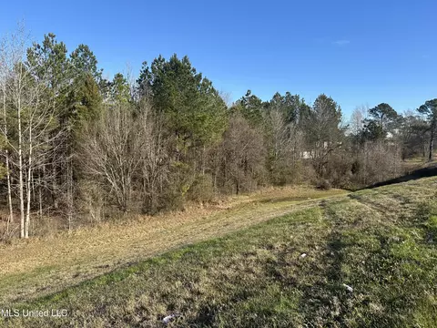 123 N Livingston Rd, Jackson, MS 39213 photo 5