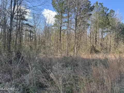 123 N Livingston Rd, Jackson, MS 39213 photo 9