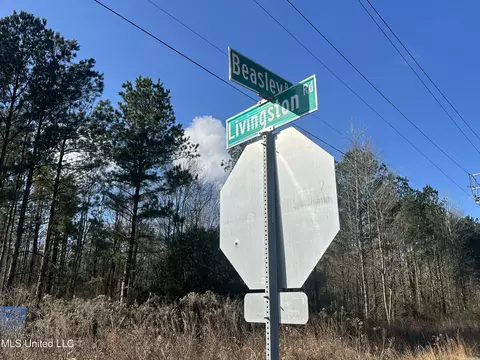 123 N Livingston Rd, Jackson, MS 39213 photo 8
