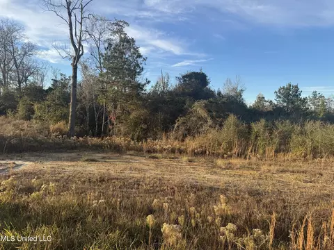 12 Acres Parker Rd, Mchenry, MS 39561