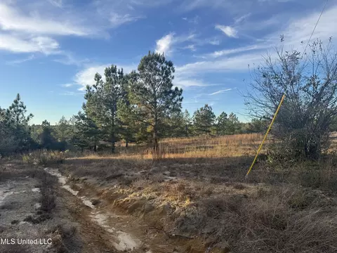 15 Acres Parker Rd, Mchenry, MS 39561 photo 5