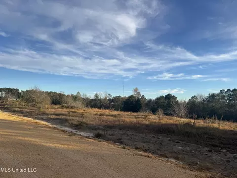 15 Acres Parker Rd, Mchenry, MS 39561 photo 2
