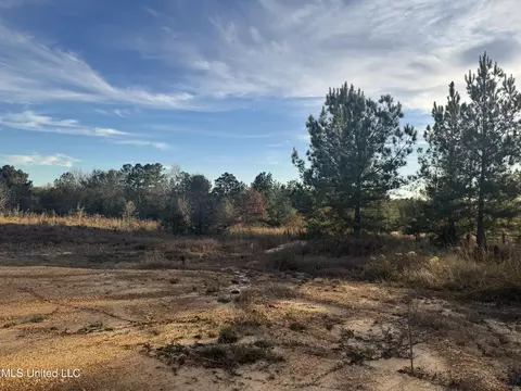 15 Acres Parker Rd, Mchenry, MS 39561 photo 3