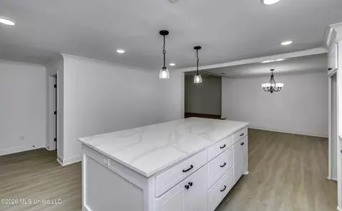 Other - 110 Trickhambridge Rd, Brandon, MS 39042 photo 5 of 12