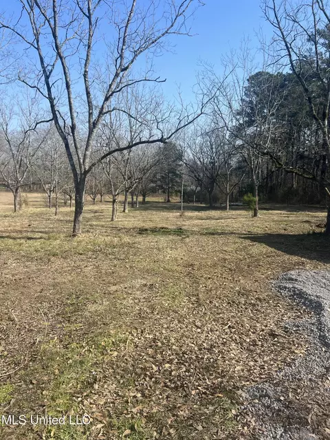 110 Trickhambridge Rd, Brandon, MS 39042 photo 3