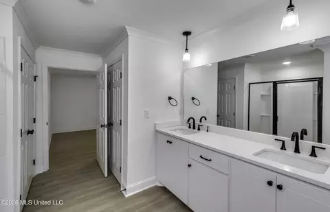 Bath - 110 Trickhambridge Rd, Brandon, MS 39042 photo 7 of 9