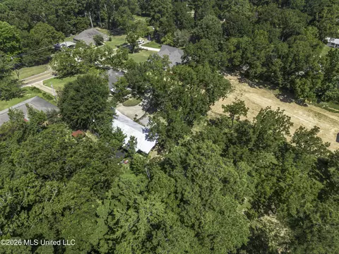 View/Area - 110 Trickhambridge Rd, Brandon, MS 39042 photo 3 of 4