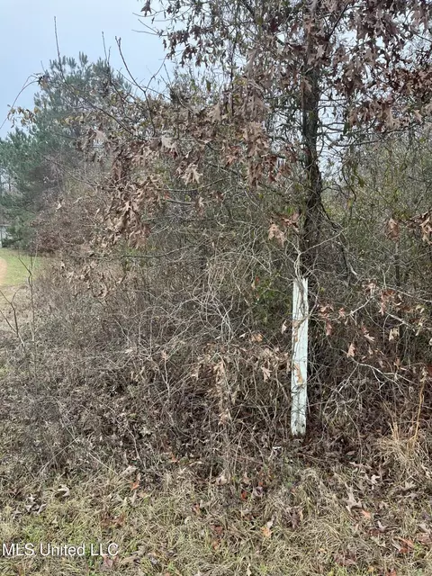 Coventry Road, Natchez, MS 39120