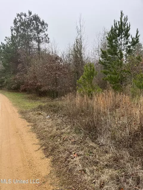 Coventry Road, Natchez, MS 39120 photo 3