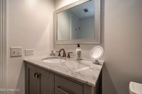 Bath - 113 Longbranch Dr, Brandon, MS 39042 photo 1 of 4