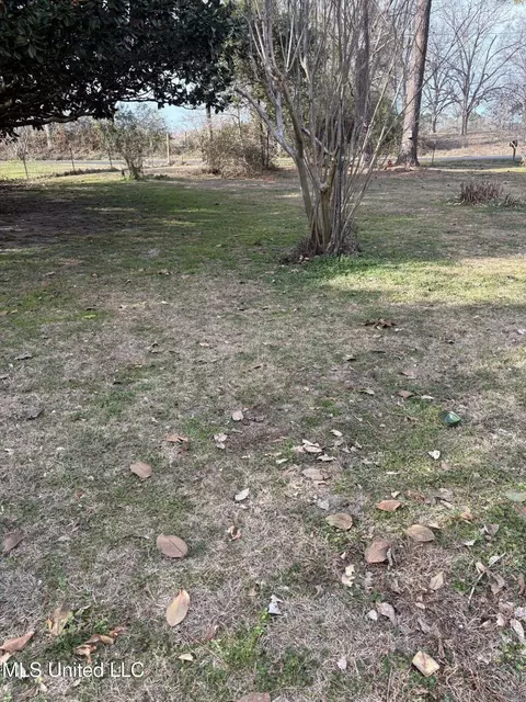 78 Pump Branch Rd, Wiggins, MS 39577 photo 27