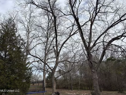 78 Pump Branch Rd, Wiggins, MS 39577 photo 6