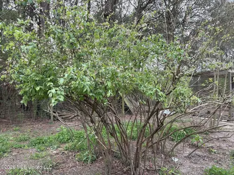 78 Pump Branch Rd, Wiggins, MS 39577 photo 10