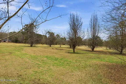 Exterior - 389 Moss Rd, Canton, MS 39046 photo 10 of 14