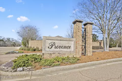 Other - 707 Chambord Dr, Brandon, MS 39042 photo 8 of 8