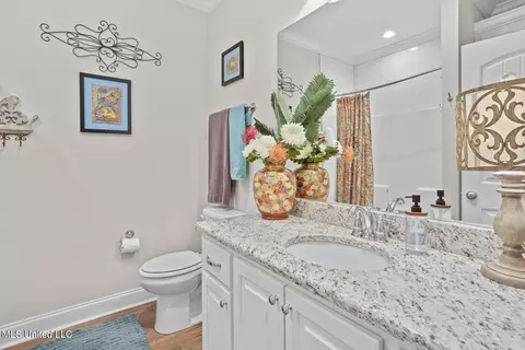 Bath - 707 Chambord Dr, Brandon, MS 39042 photo 3 of 4