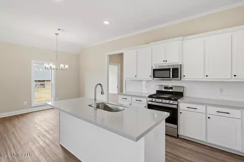 Kitchen - 512 Portner Way, Canton, MS 39046 photo 2 of 3