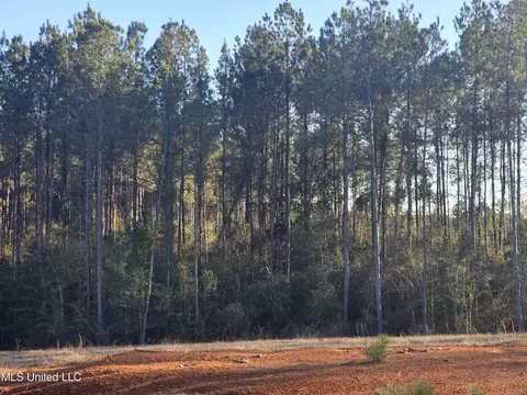 2094 S West Topisaw, Summit, MS 39666 photo 4