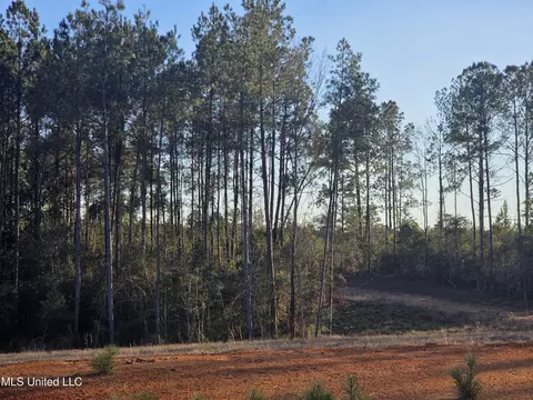 2094 S West Topisaw, Summit, MS 39666 photo 2
