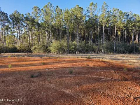 2094 S West Topisaw, Summit, MS 39666 photo 6