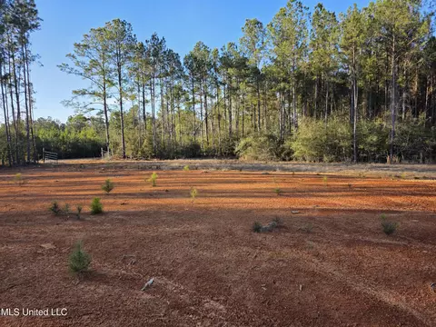 2094 S West Topisaw, Summit, MS 39666 photo 5