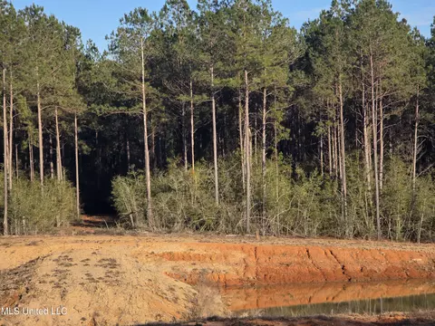 2094 S West Topisaw, Summit, MS 39666 photo 3