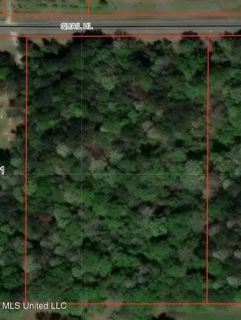 2 Quail Hill Rd, Brandon, MS 39042