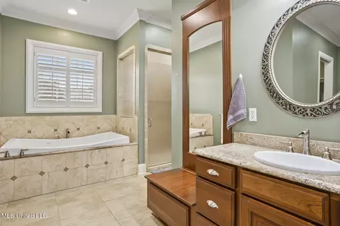 Bath - 302 Crimson Crowne, Flowood, MS 39232 photo 3 of 9