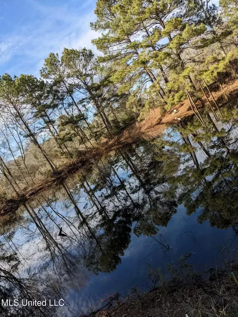 243 Sauls Rd, Jayess, MS 39641 photo 23