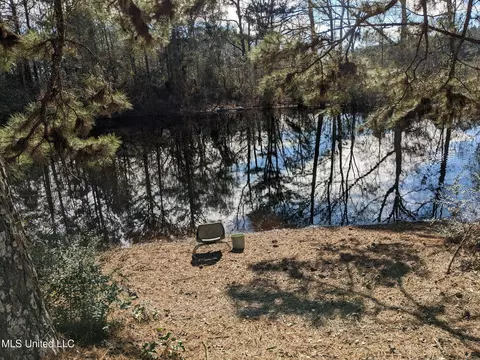 243 Sauls Rd, Jayess, MS 39641 photo 24