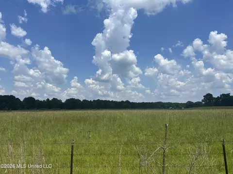 Cane Creek Road, Flora, MS 39071 photo 2