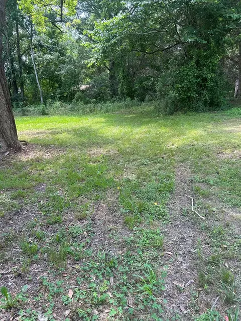 Exterior - 223 S Beech St, Bude, MS 39630 photo 6 of 6