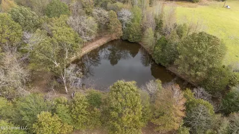 View/Area - 47 Fulmer Rd, Como, MS 38619 photo 1 of 1