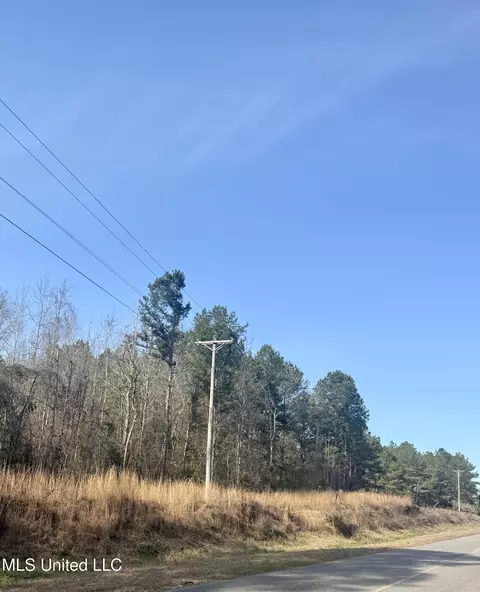 Givens Mullins Road, Jayess, MS 39641 photo 2