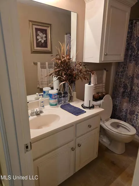 Bath - 324 Martha Dr, Byram, MS 39272 photo 5 of 6