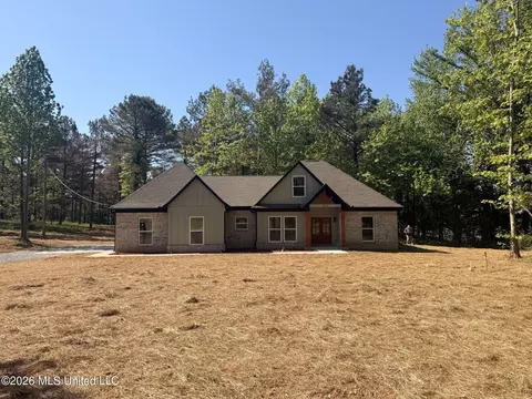 3632 Bett Rd, Coldwater, MS 38618 photo 22